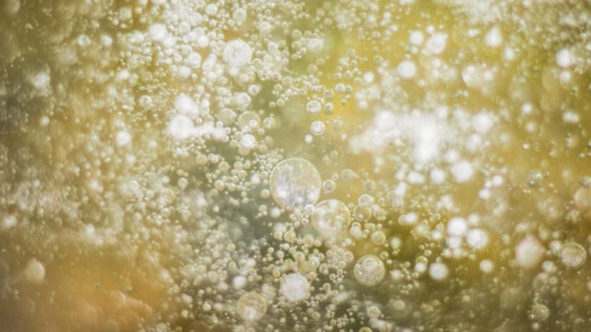 spumantizzazione metodo classico e vino frizzante