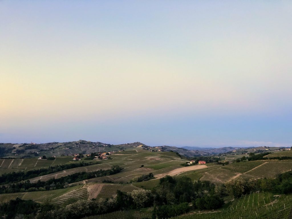 Colline delle langhe